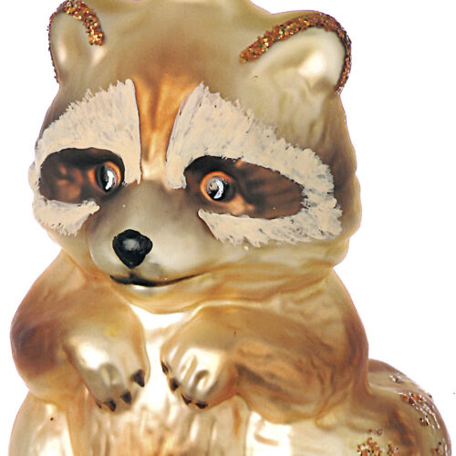 Waschbär