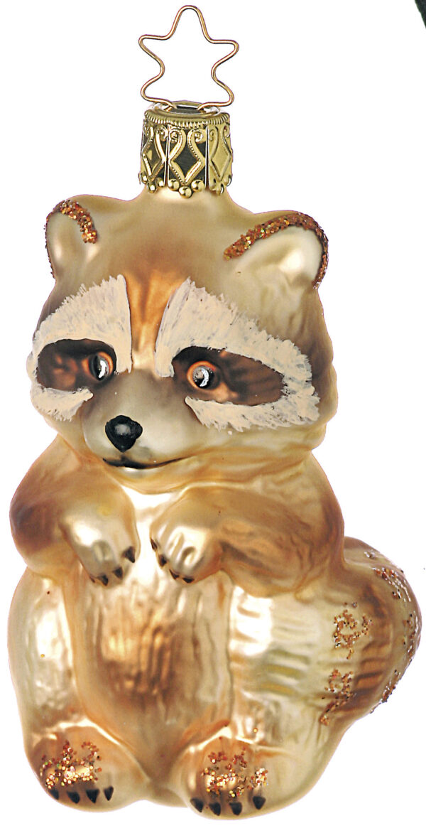 Waschbär