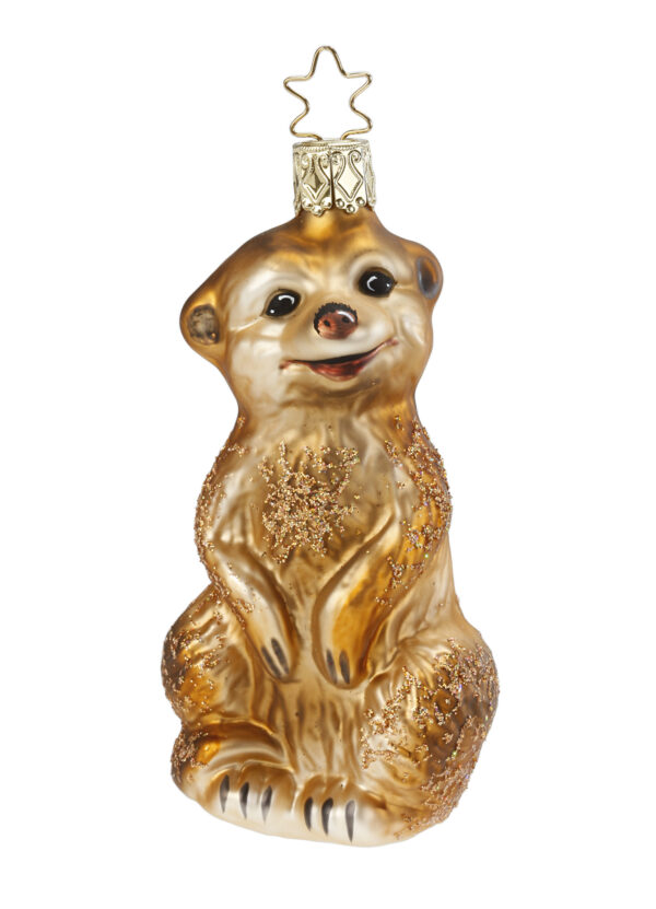 Erdmännchen