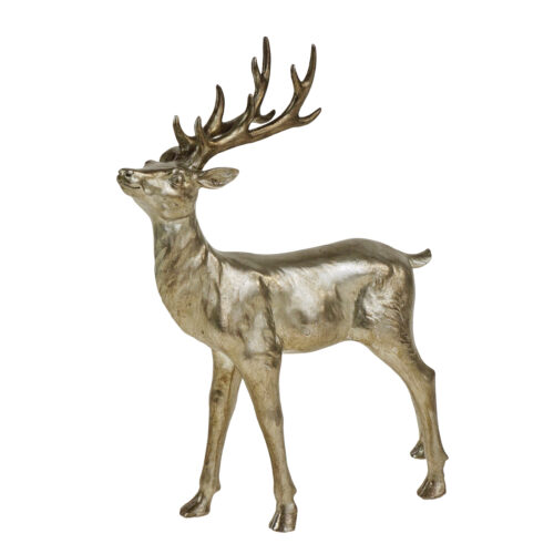 Hirsch