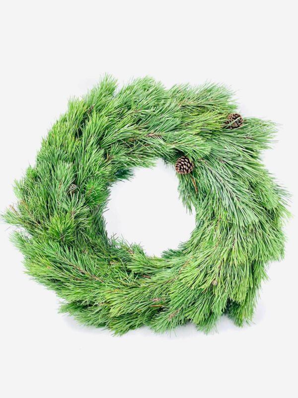 Adventskranz aus Bergkiefer