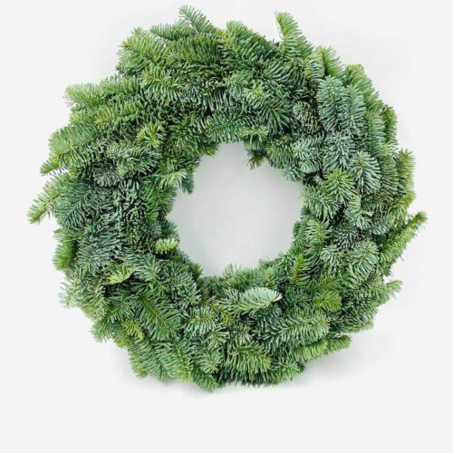 Adventskranz aus Nobilis