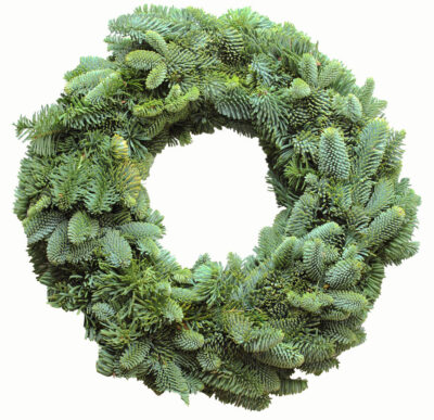 The Advent wreath Adventskranz aus Nordmanntanne